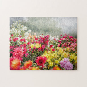 Dahlia Flower Field Jigsaw Puzzle
