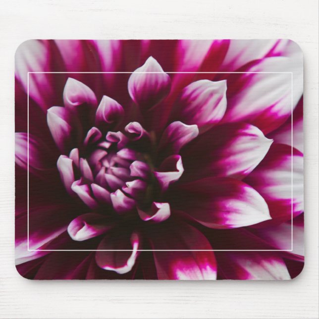 Dahlia Flower Mouse Pad (Front)