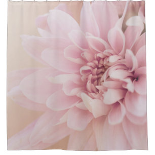 Dahlia flower pink cream and floral