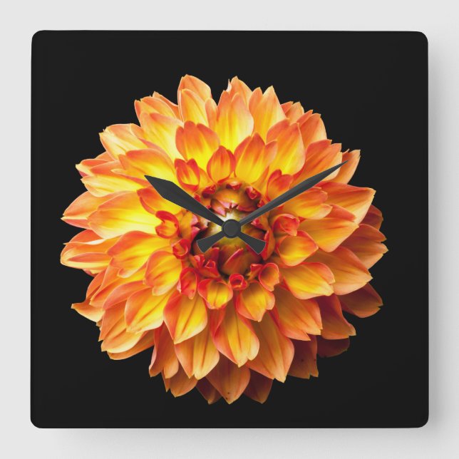 Dahlia flower square wall clock (Front)
