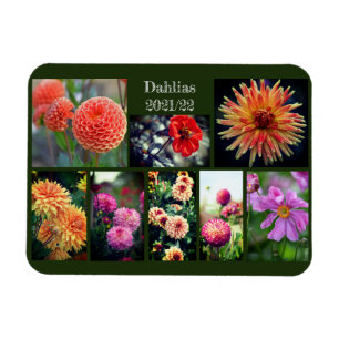 Dahlia Flowers Eight Photo Personal Collage Magnet