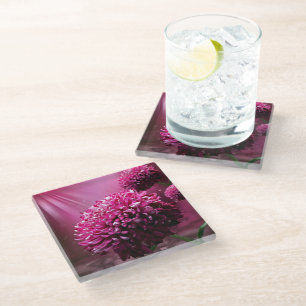 Dahlia Flowers Glass Coaster
