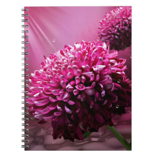 Dahlia Flowers Notebook