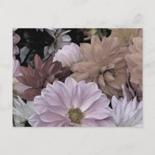 Dahlia Garden Flowers Floral Abstrait Carte postal