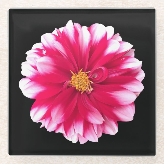 Dahlia Glass Coaster (Front)