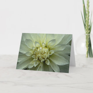 Dahlia - Greeting Card