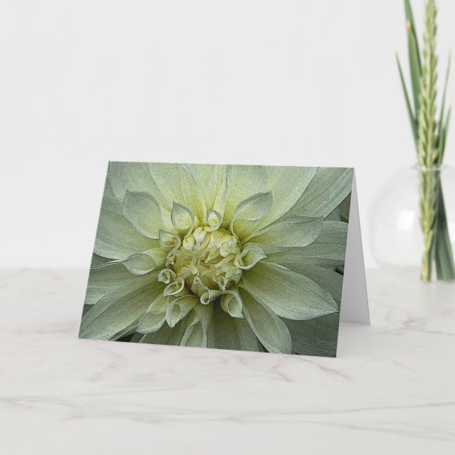 Dahlia - Greeting Card (Front)