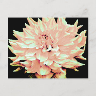 Dahlia - Honeymoon  - pale blush peach Postcard