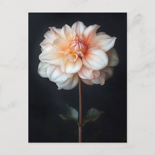 Dahlia in Bloom Botanical Painting Postcard (Front)