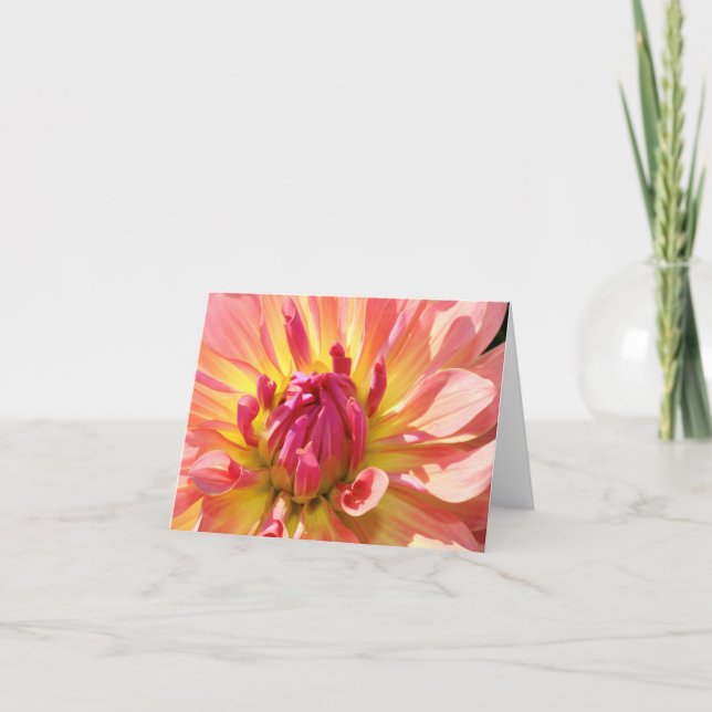 Dahlia jaune et rose 4x6 carte pour notes (Devant)