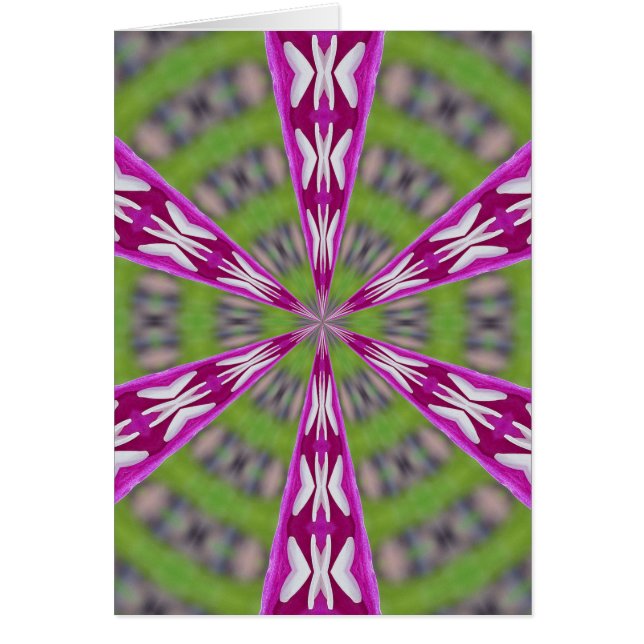 Dahlia Kaliediscope (Devant)