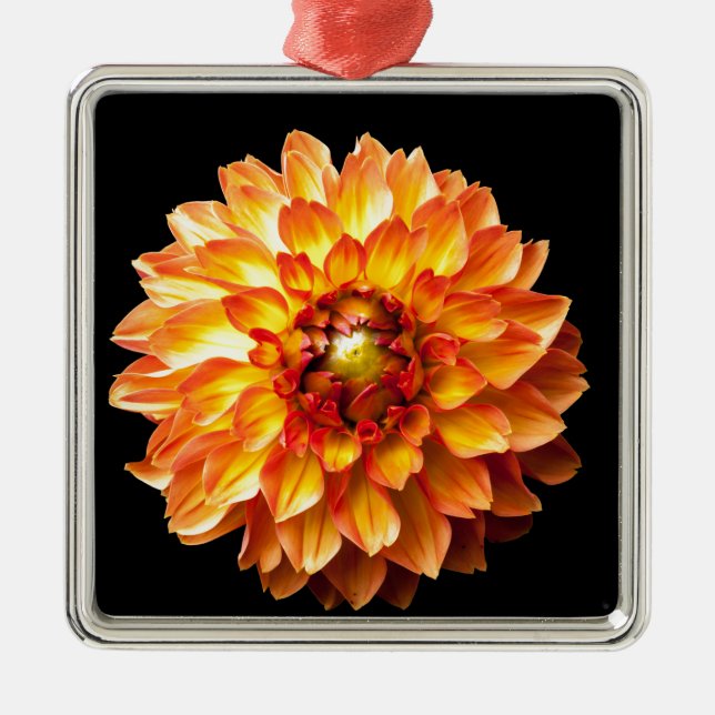 Dahlia Metal Ornament (Front)