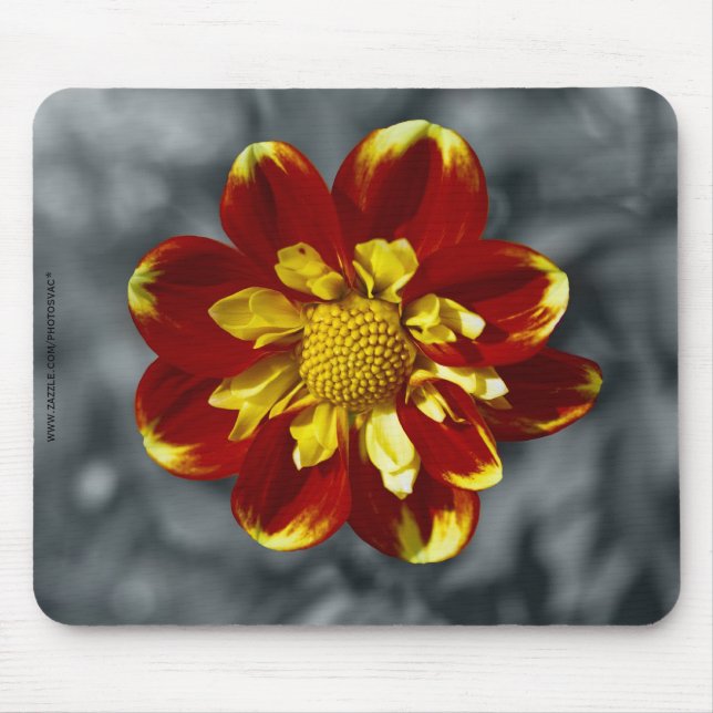 Dahlia Mouse Pad (Front)