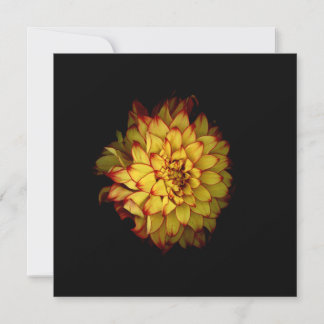 Dahlia Notecards and Greeting Cards
