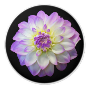 Dahlia on Black Ceramic Knob