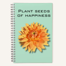 Dahlia Plante semences du Carnet du bonheur