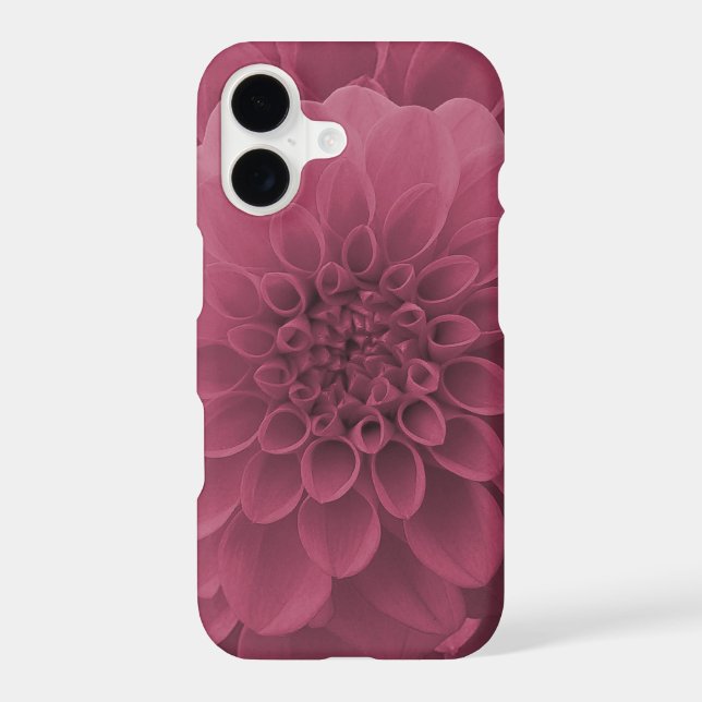 Dahlia rose (Verso)