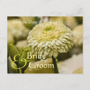 Dahlia • Save the Date Postcard