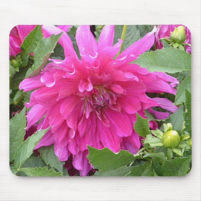 "Dahlia...true colours" Mouse Pad (Front)