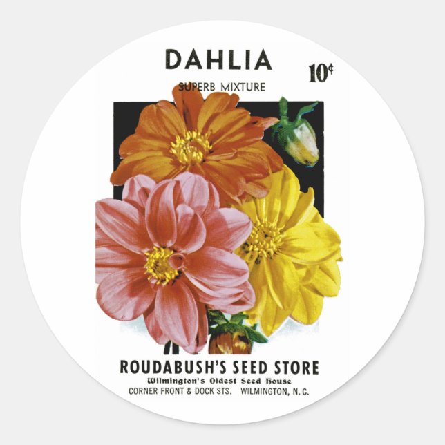 Dahlia Vintage Seed Packet Classic Round Sticker (Front)