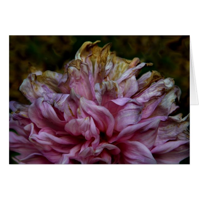 Dahliapast (Devant horizontal)