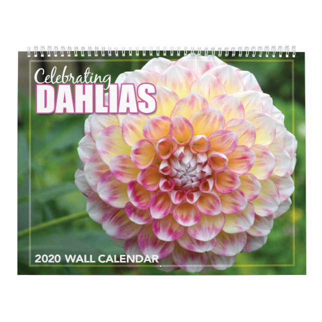 Dahlias 2020 : calendrier des murailles (Protection)