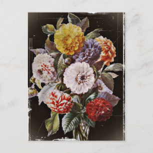 Dahlias Antique Bouquet Postcard