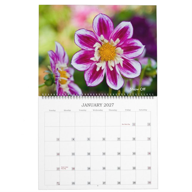 Dahlias Calendar (Jan 2027)
