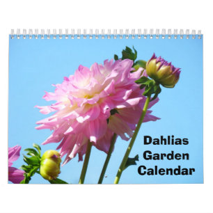 Dahlias Calendrier Jardin Photographie Fleurs