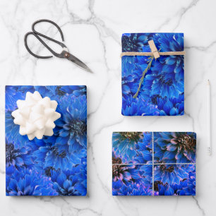 Dahlias in a brilliant blue wrapping paper sheet