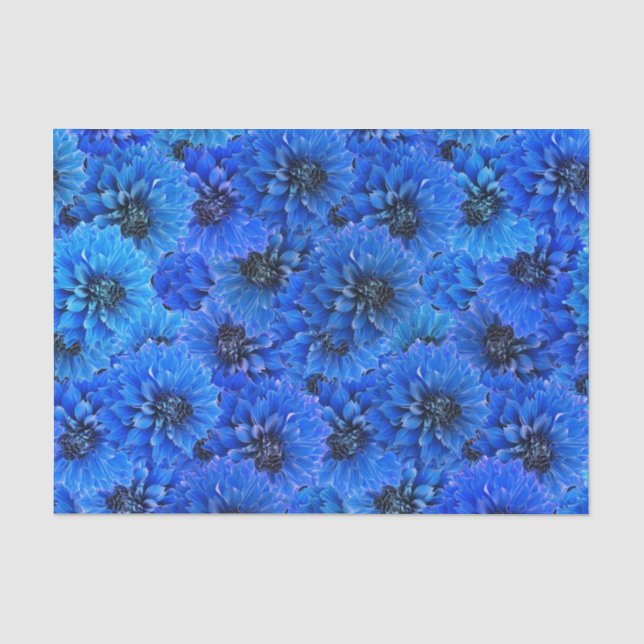 Dahlias in royal blue - floral design,  tissue paper (Front)