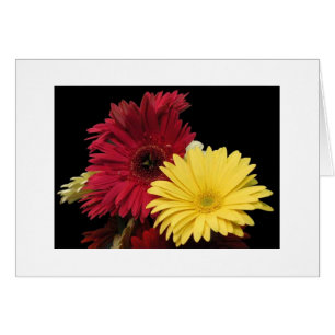Dahlias rouges et jaunes"