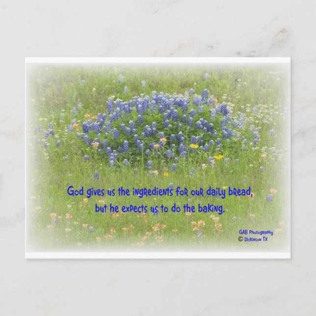 Daily Bread Postcard (Front)
