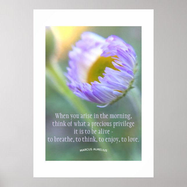 Daily Gratitude Inspirational Quote Floral Poster (Front)