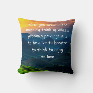 Daily Gratitude Quote Throw Pillow