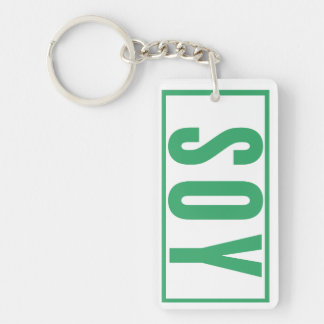 Daily Reminder car keys house keys  Keychain