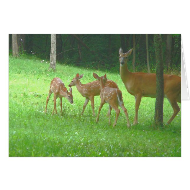 Daine avec des triplets (Devant horizontal)