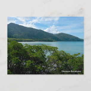 Daintree Rainforest at Cape Tribulation Holiday Postcard