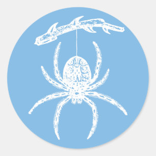 Dainty Blue Spider Classic Round Sticker