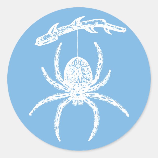 Dainty Blue Spider Classic Round Sticker (Front)