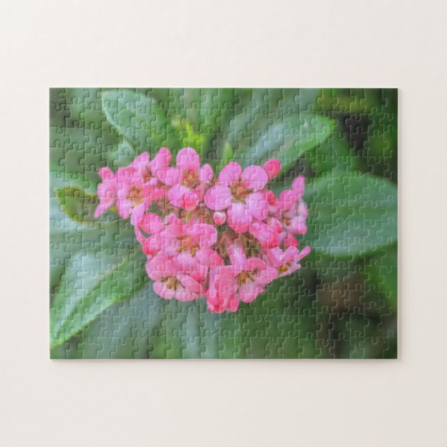 Dainty Fleurs Roses Jardin Puzzle Floral (Horizontal)