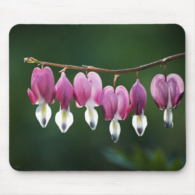 Dainty Hearts Mousepad (Front)