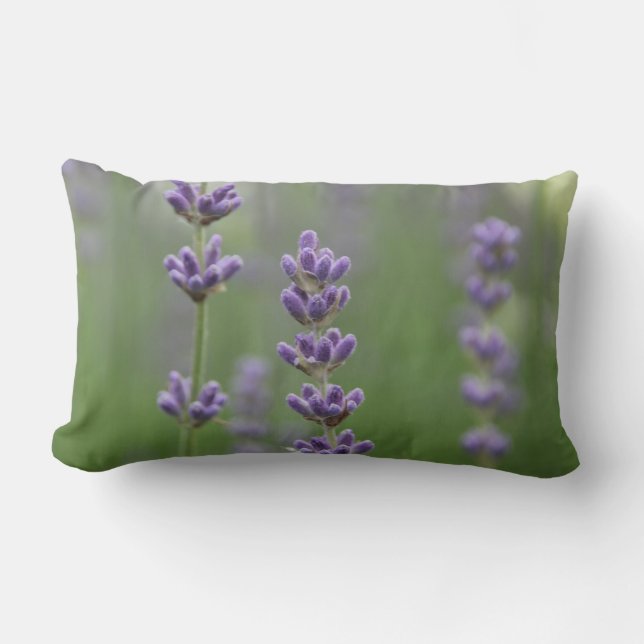 Dainty Lavender Lumbar Pillow (Front)
