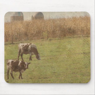dairy cattle at pasture mouse pad