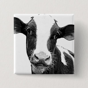 Dairy Cow - Black and White Dairy Calf 2 Inch Square Button