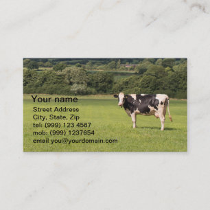 Dairy Cow business card