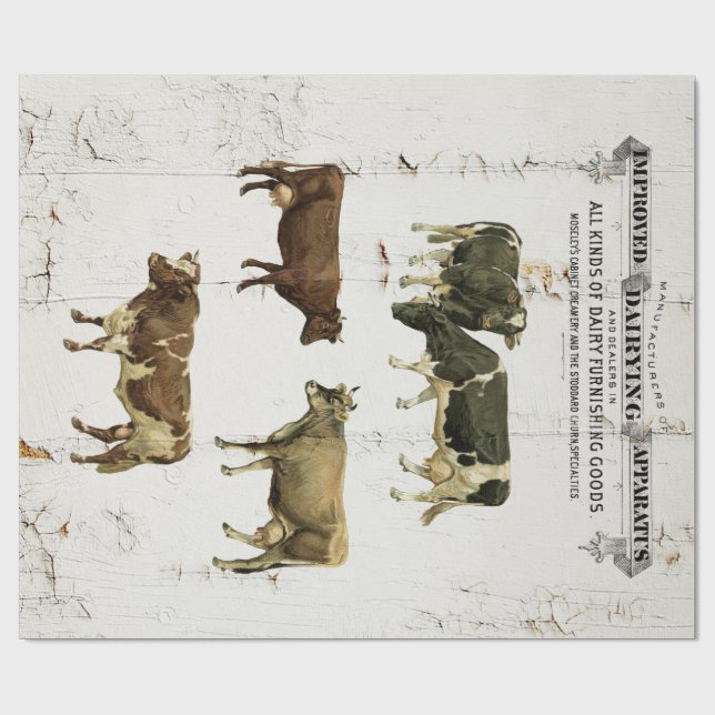 Dairy Cow Farmhouse Print Wrapping Paper (Flat)