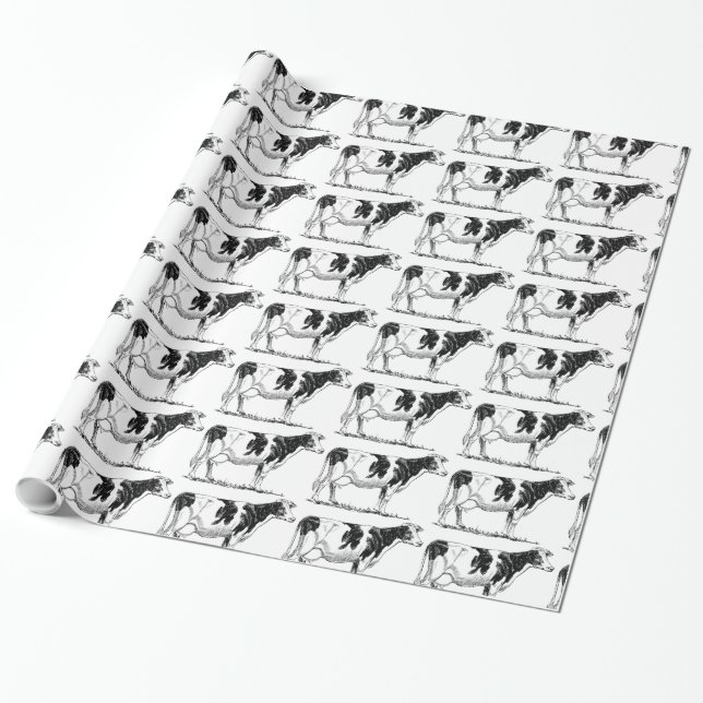 Dairy Cow Holstein Fresian Pencil Drawing Wrapping Paper (Unrolled)