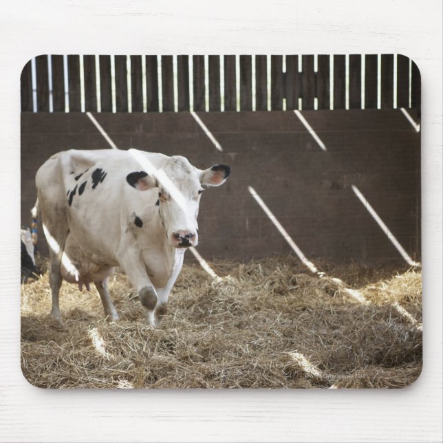 Dairy cow mouse pad (Front)