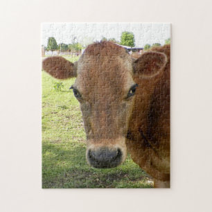 Dairy Expert - Puzzle